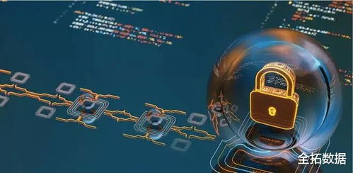 網絡安全 信息技術發展中的關鍵挑戰與廣闊前景